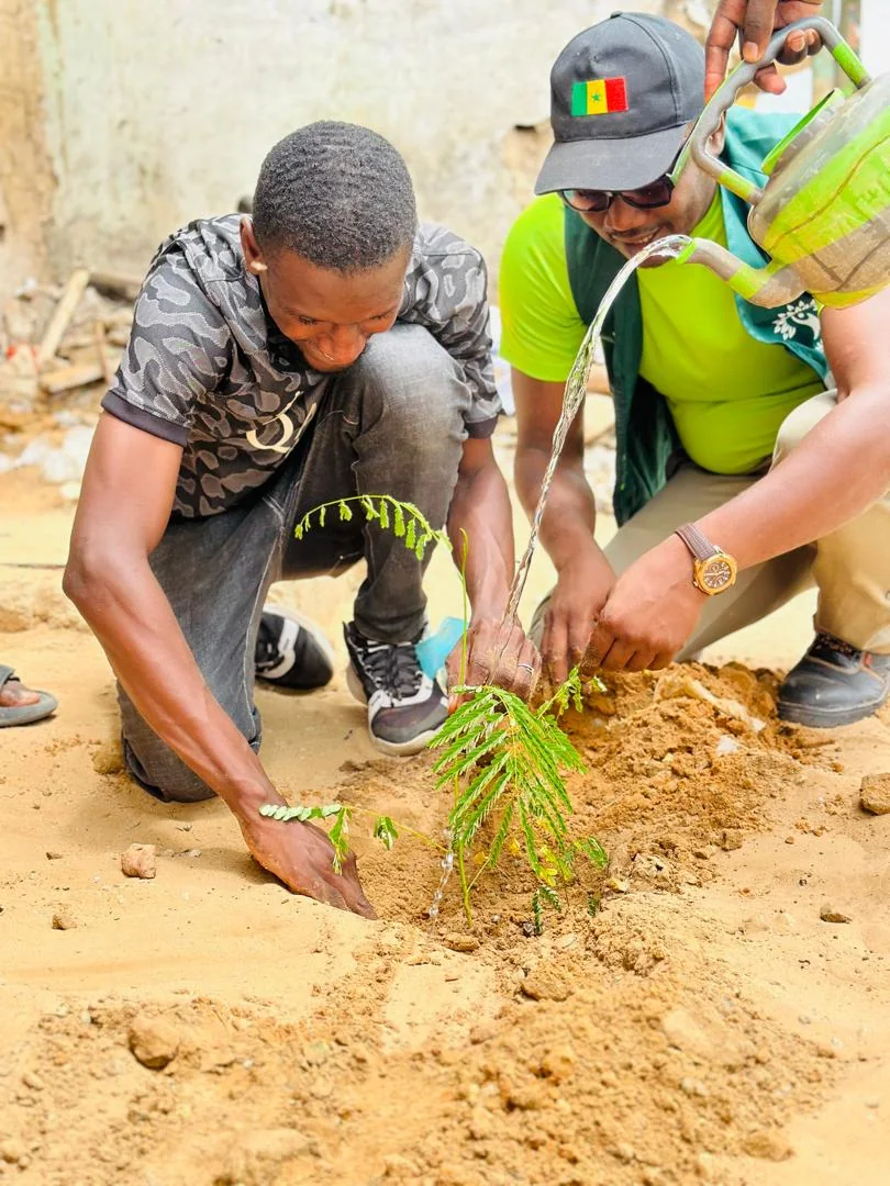 Chaque arbre est un engagement dans le temps